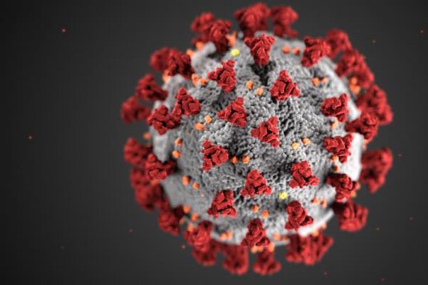 CORONAVIRUS