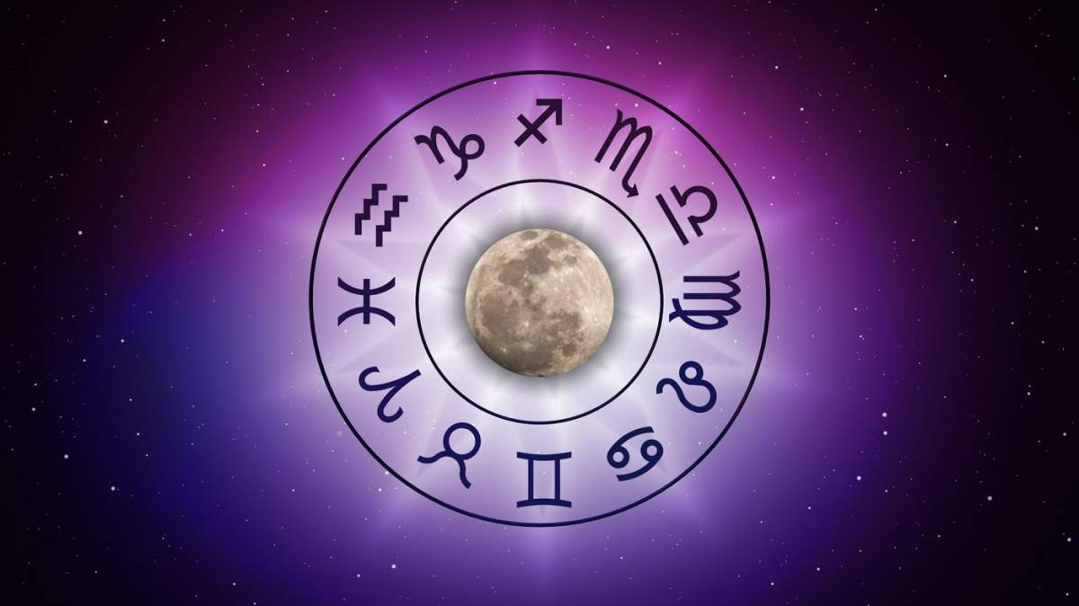 img.jpg